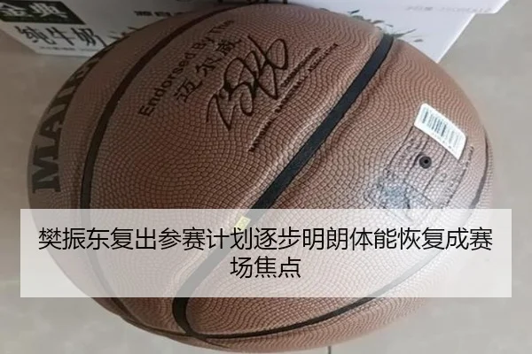 樊振东复出参赛计划逐步明朗体能恢复成赛场焦点